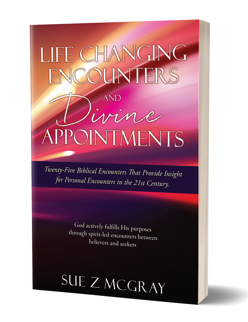 sue-z-mcgray-author-life-changing-encounters-divine-appointments-b